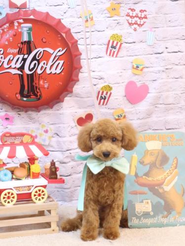 20230924ちゃちゃ丸くん